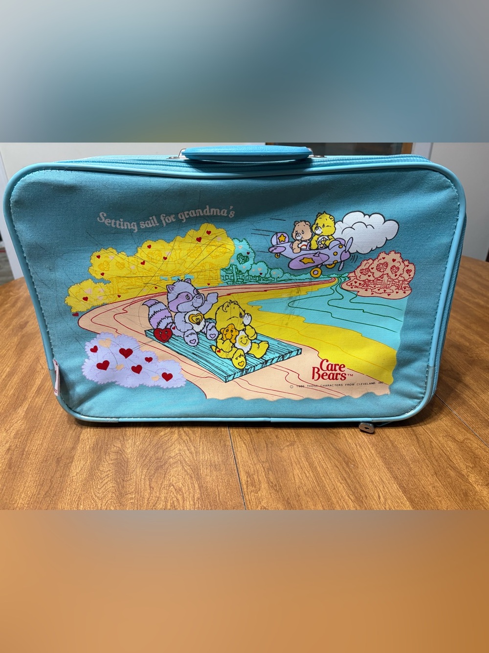 Vintage 1986 Care Bears suitcase blue setting sail for grandmas 17in